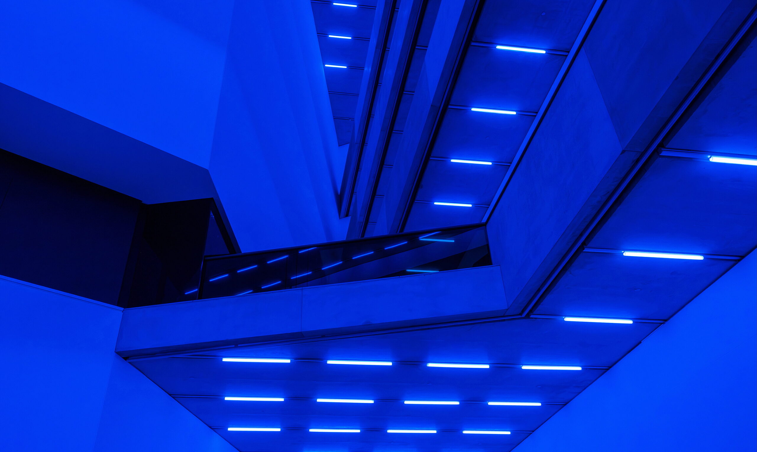 Im Wechselbad von Licht und Sound